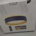 Bargeni Flush Mount Ceiling Light with Remote,Matte Black with Gold Inside,24W/2700K-6000K/with Night Light Mode,12.5 inch LED Flush Mount Light for Bedroom,Living Room,Kitchen