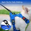 PoyPet No Pull Dog Harness, No Choke Reflective Dog Vest, Adjustable Pet Harnesses with Easy Control Padded Handle for Small Medium Large Dogs(Royal Blue,S)