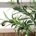 Faux Olive Tree 6ft, Olive Trees Artificial Indoor with Planter and Basket, Tall Fake Tree with Realistic Leaves and Fruits for Home Living Room Bedroom Outdoor Decor