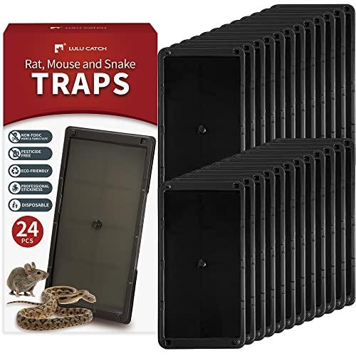 LULUCATCH Super Glue Traps 24 Pack for Mice & Snakes, Larger, Heavier Sticky Traps with Non-Toxic Glue. Sticky Mouse Traps Indoor, Easy to Set, Pet Safe Pest Control