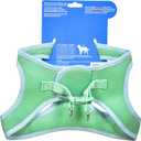 The Dodo Green Dog Harness, Size Small; Easy Step-in Harness for Dogs; Breathable Mesh Fabric; Snap-Together, Pinch Release Buckle, Ring for Leash Attachment; Everyday Pet Apparel