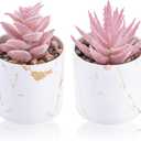 Der Rose Set of 2 Succulents Plants Artificial Mini Fake Succulents Plants for Office Desk Accessories for Women Pink Home Vanity Decor