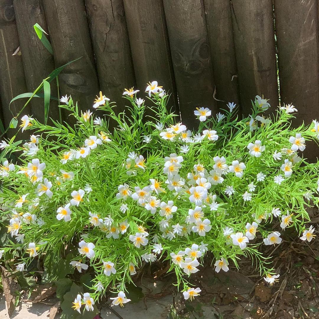 18PCS Artificial Spring White Flowers for Indoor Outdoor Planters Faux Daisy Fake Little Flowers UV Resistant for Porch Terrace Yard Home Party Decoration