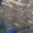 636Pcs Glass Beads for Jewelry Making, Assorted Crystal Beads with Loose Beads for Bracelet Earring Necklace Suncatchers DIY Crafts Jewelry Making Valentine's Day Birthday Gift, AB Color