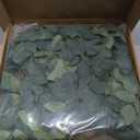 Ling's moment Artificial Rose Green Leaf Garland Greenery Vine for DIY Wedding Head Table Welcome Sign Table Centerpieces Candle Ring Fireplace Plant Leaves Garland Decor