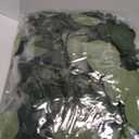 Dolicer 2 Packs 6FT Artificial Eucalyptus Garland, Faux Greenery Garland Hanging Fake Silver Dollar Eucalyptus Leaves Vines for Wedding Backdrop Arch Table Wall Party Home Decor