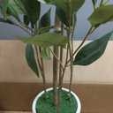 Ferrgoal 4Ft Artificial Eucalyptus Plant with White Planter
Fake Plants with Silk Leaves,Faux Tree Indoor for Home Decor Floor Porch Liveing Room