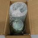 XUWAIDSGN 50 Pack Green Plastic Ribbed Wine Glasses 14 oz Disposable Cocktail Martini Juice Coffee Drinking Tumblers Plastic Stackable Ripple Wedding Party Cups for Charcuterie Parties and Events