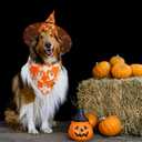 Halloween Dog Bandanas - 2 Pack Fall Dog Bibs | Reversible Pumpkin and Ghost Pet Scarf for Boys and Girls | Premium Durable Fabric | Orange Dog Bandana for Medium and Large Dogs (Large)