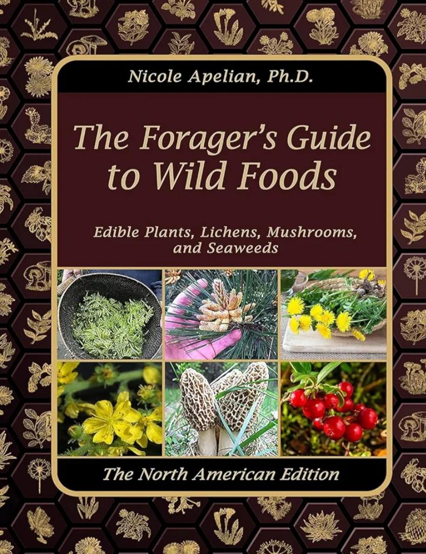 The Forager’s Guide to Wild Foods, Paperback