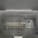 HIHEGD 2-Tier Bathroom Organizer with Dividers, Clear Under Sink and Pull-Out Cabinet Organizer for Kitchen and Pantry Storage