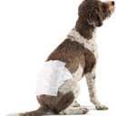 Amazon Basics Male Dog Diapers, 25 Count, Large, Ultra Absorbent Disposable Wrap with Secure Fit, Leakproof and Comfortable (Large (Pack of 25))