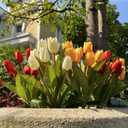 Artificial Fake Flowers for Spring Summer Outdoor Decoration,6 Bundles Shyshining Realistic UV Resistant Silk Fabric Colorful Tulip Faux Plants for outside Planter Home Porch Patio Decor(White Orange)