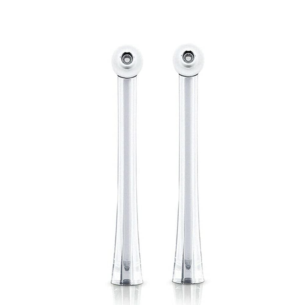 2PCS Oral Irrigator Nozzle Fit for Philips Soni care AirFloss Ultra HX8032/HX8331/HX8332/HX8340/HX8341/HX8381, Generic Soni care Flosser Replacement Heads