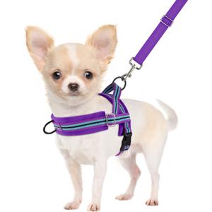 SlowTon No Pull Small Dog Harness and Leash Set, Puppy Soft Vest Harness Neck & Chest Adjustable, Reflective Lightweight Harness & Anti-Twist Pet Lead Combo for Dogs (PU-Front Clip, XS)