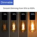 ST19 Filament Amber Glow Vintage Edison Light Bulb Filament Bulb 5W with Amber Glass, 90+ High CRI, Dimmable 2200K Amber White, E26 Medium Base, UL Listed
