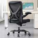 Ergonomic Office Chair with Lumbar Support - Adjustable Computer Desk Chairs for Home Office, Gaming, and Work - Comfortable and Supportive Desk Chairs for Adults (Black), Medium