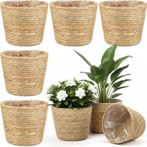 AceOrbit 6 Pcs Wicker Plant Basket with Plastic Liners Woven Stylish Planter Baskets Bulk Indoor Outdoor Seagrass Plants Woven Wicker Baskets for Flower Pots Cover and Room Decor (Small, Rustic)