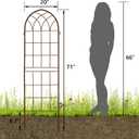 LZRS 2 Pack Rustic Iron Arch Decoration Garden Trellis with Metal Coating Perfect for Supporting Climbing Plants Outdoor, Roses, Vines, Flowers, and Vegetables, Brown