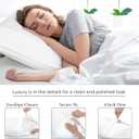 2 x Royale Linens Standard Pillowcase Set of 2 - Bed Pillow Cover - 20"x26" - White Pillowcases - 1800 Brushed Microfiber, Wrinkle & Fade Resistant - Soft & Cozy- Standard Size Pillow Case (STD, White)