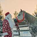 Horse Halter Christmas Horse Costume Red Bridle Rope with White Flannel Lined Prevents Rubs Adjustable Fit for Shows Xmas Parade