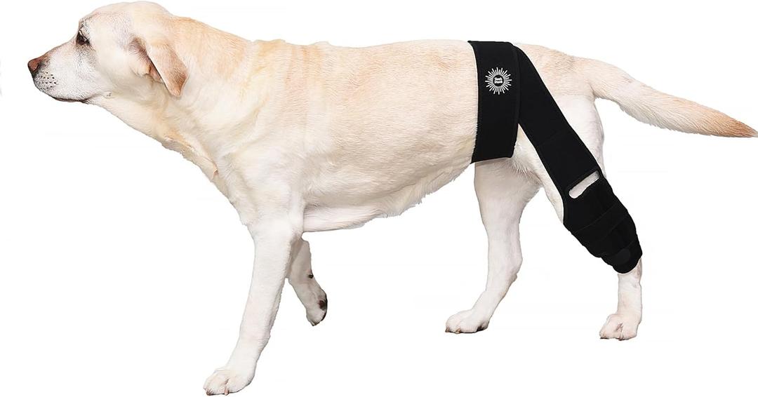 Generic Large Breathable Dog Knee Brace for Torn ACL Legs - Easy to Use, Neoprene Dog Leg Braces for Back Leg - ACL Brace for Dogs, Helps Reduce Pain and Heal Injuries