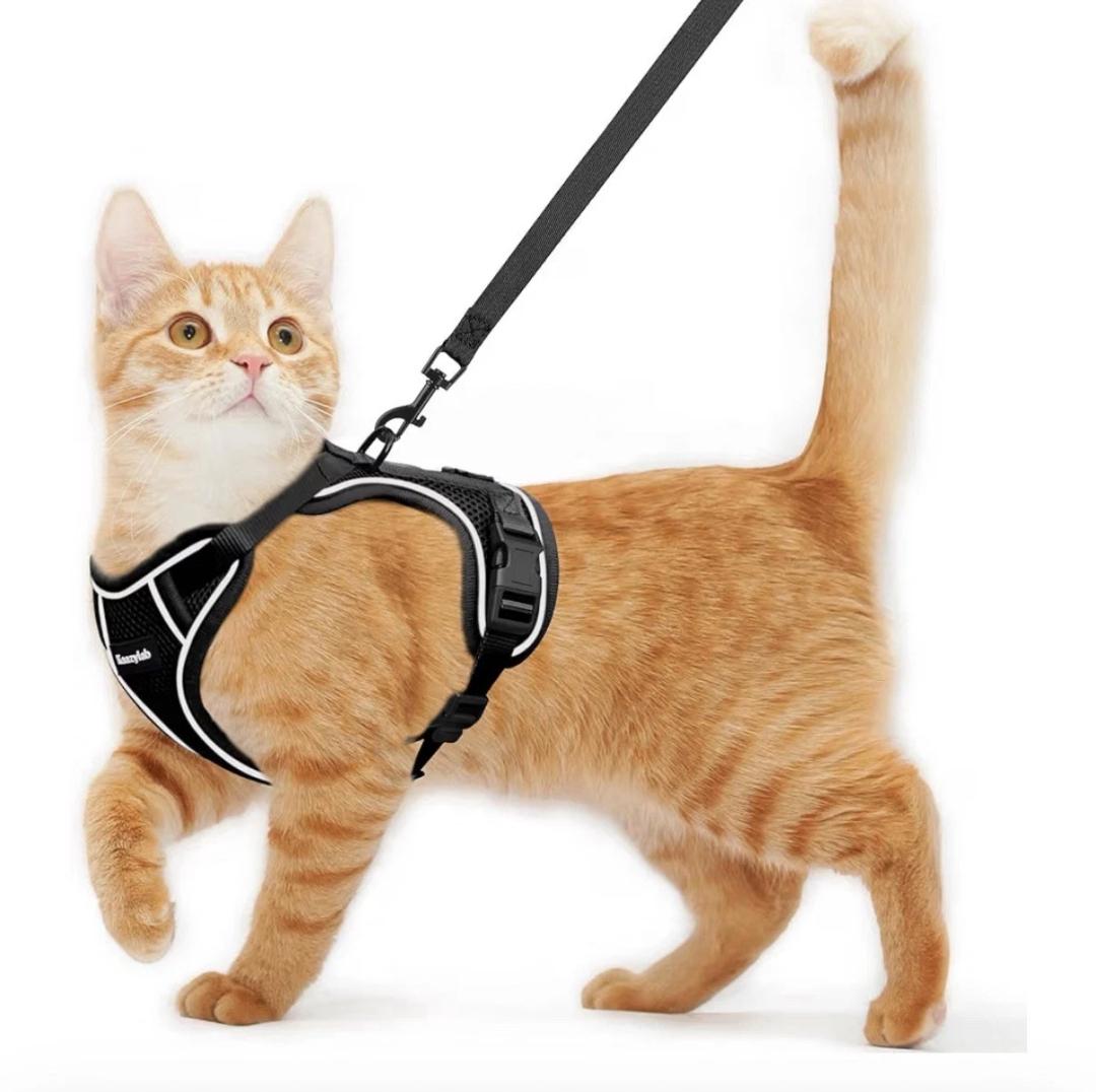Kaazylab Cat Harness and Leash Black Size M (13-18 Lbs) Reflective Strip