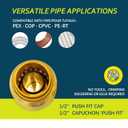 Push Fit End Cap, Push Fit Coupling, Push-to-Connect Plumbing Fittings, Brass Straight Plumbing Fittings with Disconnect Clip, Push-to-Connect, CPVC (1/2", 6 Pcs)