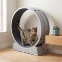 31.5" Cat Exercise Wheel for Indoor Cats, Silent Cat Treadmill with Safety Lock, Running Wheel with Removable Scratch Pad & Teaser Toy for Cat Fitness and Play, Gray