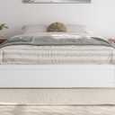 AFI, Barcelona Queen Panel Platform Bed with Twin XL Trundle, White