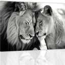ZXHYWYM Lion and Lioness Wall Art Black and White Lion Picture Wildlife Painting Animal Canvas Artwork Modern Home Living Room Wall Decor Frame (B, (16.00" x 24.00"))