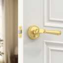 Amerdeco 1 Pack Brushed Gold Privacy Door Handles, Gold Interior Door Knobs,Heavy Duty Door Lever for Bedroom and Bathroom, Reversible Keyless for Right & Left Side AM0034