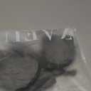 ZAFUL Womens Tropical Print Coconut Tree Tie Knot Front Swimsuit Two Pieces Bikini Set (Medium, Black)