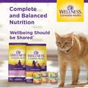 Wellness Complete Health Minced Adult Wet Cat Food, Natural, Protein-Rich, Grain Free, 5.5 Ounce, 24 Pack, (Chicken Entre) (EXP 08/04/24)