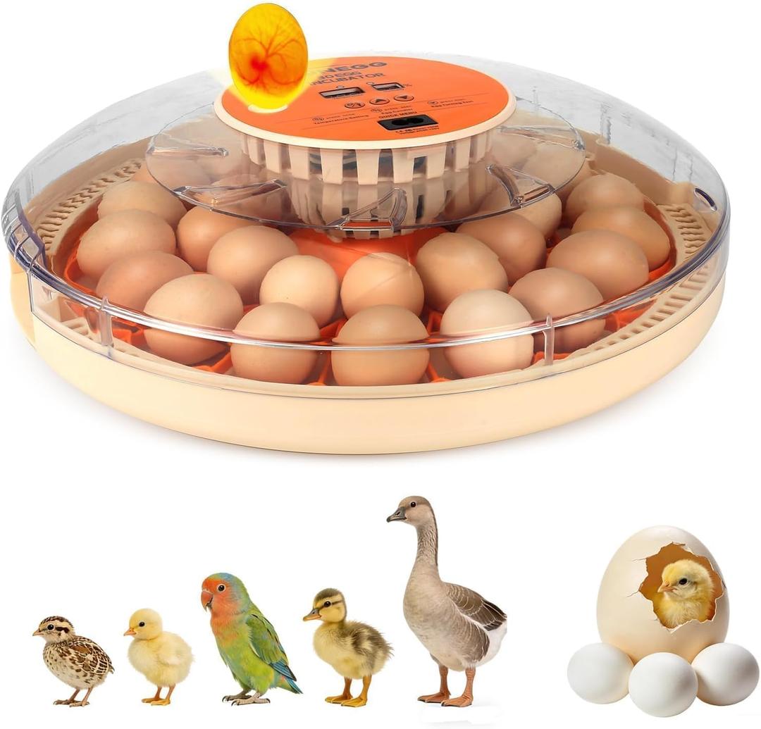 Nest II - 30 Egg Incubator for Large-Batch Hatchers, Hands-On Control, Auto Egg Turning, Manual Water Fill, Consistent Temp, Real-Time Display, Candler for Chicken, Goose, Duck, Quail, Pigeon, Turkey