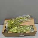 Artificial Glitter Berry Stem Ornaments, 18 Pack 17.5 Inch Green Fake Christmas Picks Decorations with Poinsettia Christmas Flower,Twigs Bead Sticks for Christmas Tree Wedding Small Vase Wreath Decor