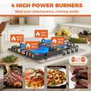 TOPWISH 24 Inch Gas Cooktop, Propane Stove Top with 4 Burners 27,400 BTU, NG/LPG Convertible Built-in Stainless Steel Stovetop with Thermocouple Protection for Kitchen, Apartments, RV