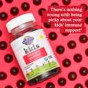 Garden of Life Kids Immune Support Gummies with Vitamin C, D as D3 & Zinc for 3-in-1 Daily Childrens Immunity Organic, Non-GMO, Gluten-Free, Vegetarian, Sugar Free, Cherry Flavor, 30 Day Supply