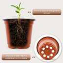 200 Pack 6 Inch Plastic Nursery Pots for Plants, Seedling Pots Succulent Pots Flower Pots with Drainage Holes, Come with 200pcs Plant Labels