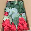Hananona 12 Pcs Artificial Geranium Flowers for Outdoors Geranium Silk Red Flowers Outdoor UV Resistant Garden Plants Faux Flower for Christmas Home Kitchen Table Centerpieces Decor (12, Red)