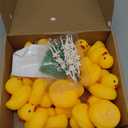 Lenwen 24 Pcs St. Patrick's Day Rubber Ducks Bulk 2.16" Small Car Duckies with Bead Necklace Glasses Holiday Duck Bath Toy for St. Patrick's Day Party Decors Supplies Gift