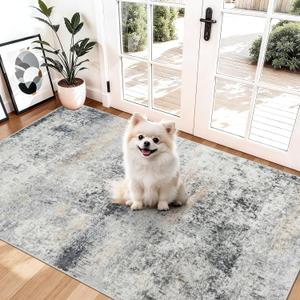 Washable Abstract Rug Entryway 3x4: Non Slip Ruuner for Kitchen Hallway - Soft Low Pile Stain Resistant Thin Carpet - Modern Home Decor for Contemporary Style Lover Pet Owner 3x4 Blue Grey