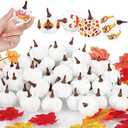 Tigeen 100 Pcs Artificial Pumpkins 1.8 x 2.2 Inch Mini Fake Pumpkin White Rustic Pumpkin Decor Foam Pumpkins DIY Craft for Wedding Thanksgiving Fall Harvest Halloween Centerpieces Tabletop Decoration