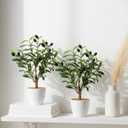 Giegxin 2 Pack 15.8 Inch Small Artificial Olive Tree Indoor 40cm Faux Olive Plant with White Pot for Home Office Room Table Modern Decor