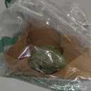 Toad Prank, Realistic Fake Frog Prank Props- Cold & Slimy Touch! Gags & Practical Joke Gifts, Stress Relief, Life-Size, TPR (Green)