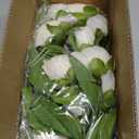 florisso 6 Pcs 27" Faux Silk Artificial Peony Flowers, Fake Peony Branches for Vase DIY Bouquet Centerpieces Wedding Shower Decorations, White