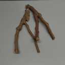 kathson Natural Parrot Perch Bird Stand Pole Wild Grape Stick Paw Grinding Fork Parakeet Climbing Standing Branches Toy Chewable Cage Accessories for Small Budgies Cockatiels Lovebirds 2PCS