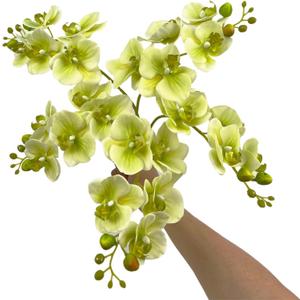 5 Artificial Orchid Flower Stems 18 Inches Real Touch Faux Phalaenopsis Stems Fake Orchid Flowers Arrange for Wedding Bridal Bouquets Home Office Indoor Decorations (Green)