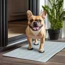 Doormat for Muddy Dog Paws, Machine Washable Soft Microfiber, Non-Slip Welcome Rug Bed Mat for Dirty Dogs, Thick Washable Mat for Kitchen Bathroom Bedroom Entryway 24" L x 16" W, Blue
