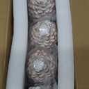 Hotop 4 Pieces Christmas Pine Cone Stocking Holder Metal Mantel Stocking Hanging Hook Xmas Pine Cone Stocking Holder Fireplace Stocking Hanger for Fireplace Mantel Christmas Decor